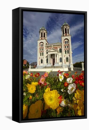 Sacred Heart Basilica and Flowers, South Canterbury, New Zealand-David Wall-Framed Stretched Canvas