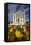 Sacred Heart Basilica and Flowers, South Canterbury, New Zealand-David Wall-Framed Stretched Canvas