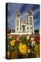 Sacred Heart Basilica and Flowers, South Canterbury, New Zealand-David Wall-Stretched Canvas