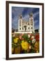 Sacred Heart Basilica and Flowers, South Canterbury, New Zealand-David Wall-Framed Photographic Print