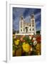 Sacred Heart Basilica and Flowers, South Canterbury, New Zealand-David Wall-Framed Photographic Print