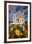 Sacred Heart Basilica and Flowers, South Canterbury, New Zealand-David Wall-Framed Photographic Print