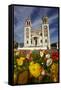 Sacred Heart Basilica and Flowers, South Canterbury, New Zealand-David Wall-Framed Stretched Canvas