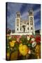 Sacred Heart Basilica and Flowers, South Canterbury, New Zealand-David Wall-Stretched Canvas