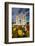 Sacred Heart Basilica and Flowers, South Canterbury, New Zealand-David Wall-Framed Photographic Print