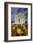 Sacred Heart Basilica and Flowers, South Canterbury, New Zealand-David Wall-Framed Photographic Print