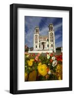 Sacred Heart Basilica and Flowers, South Canterbury, New Zealand-David Wall-Framed Photographic Print