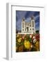 Sacred Heart Basilica and Flowers, South Canterbury, New Zealand-David Wall-Framed Photographic Print