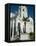 Sacred Heart Catholic Church, Historic District, Galveston, Texas, USA-Ethel Davies-Framed Stretched Canvas