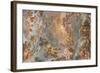 Sacred heaven-Moises Levy-Framed Giclee Print