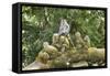 Sacred Monkey Forest, Ubud, Bali, Indonesia, Southeast Asia, Asia-G &-Framed Stretched Canvas