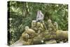 Sacred Monkey Forest, Ubud, Bali, Indonesia, Southeast Asia, Asia-G &-Stretched Canvas