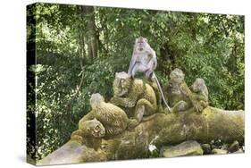 Sacred Monkey Forest, Ubud, Bali, Indonesia, Southeast Asia, Asia-G &-Stretched Canvas