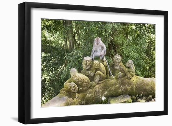 Sacred Monkey Forest, Ubud, Bali, Indonesia, Southeast Asia, Asia-G &-Framed Photographic Print