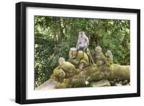 Sacred Monkey Forest, Ubud, Bali, Indonesia, Southeast Asia, Asia-G &-Framed Photographic Print