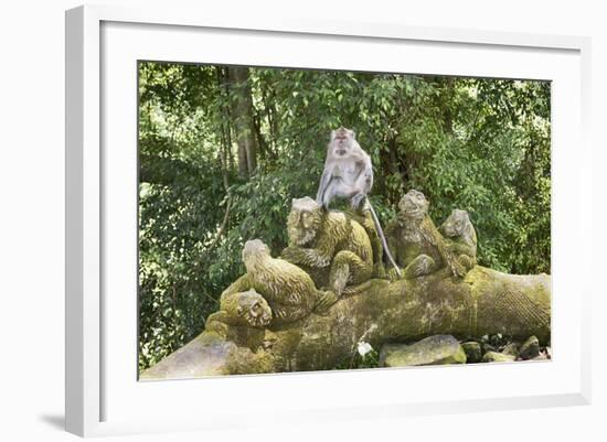 Sacred Monkey Forest, Ubud, Bali, Indonesia, Southeast Asia, Asia-G &-Framed Photographic Print