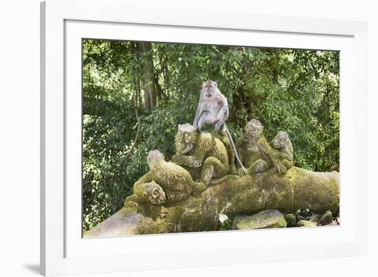 Sacred Monkey Forest, Ubud, Bali, Indonesia, Southeast Asia, Asia-G &-Framed Photographic Print