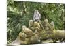 Sacred Monkey Forest, Ubud, Bali, Indonesia, Southeast Asia, Asia-G &-Mounted Photographic Print