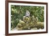 Sacred Monkey Forest, Ubud, Bali, Indonesia, Southeast Asia, Asia-G &-Framed Photographic Print