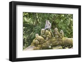 Sacred Monkey Forest, Ubud, Bali, Indonesia, Southeast Asia, Asia-G &-Framed Photographic Print