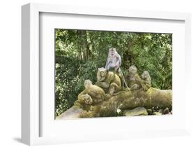 Sacred Monkey Forest, Ubud, Bali, Indonesia, Southeast Asia, Asia-G &-Framed Photographic Print