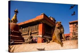 Sacred Monkey Temple, Kathmandu, Nepal, Asia-Laura Grier-Stretched Canvas