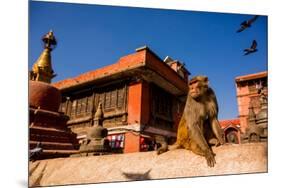 Sacred Monkey Temple, Kathmandu, Nepal, Asia-Laura Grier-Mounted Premium Photographic Print