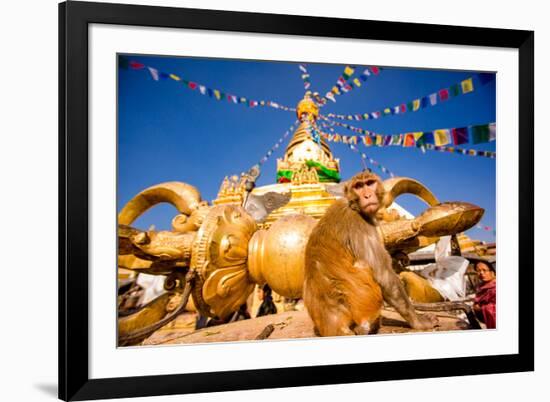 Sacred Monkey Temple (Swayambhunath Temple), UNESCO World Heritage Site, Kathmandu, Nepal, Asia-Laura Grier-Framed Photographic Print