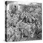 Sacred' Monkeys at Galta, Near Jeypore, India, 1904-Underwood & Underwood-Stretched Canvas
