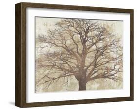 Sacred Oak-Alessio Aprile-Framed Giclee Print