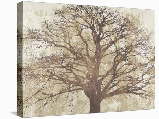 Sacred Oak-Alessio Aprile-Stretched Canvas