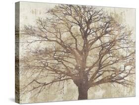 Sacred Oak-Alessio Aprile-Stretched Canvas