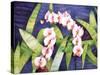 Sacred Orchids-Mary Russel-Stretched Canvas