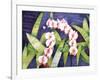 Sacred Orchids-Mary Russel-Framed Giclee Print