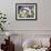 Sacred Orchids-Mary Russel-Framed Giclee Print displayed on a wall