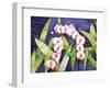 Sacred Orchids-Mary Russel-Framed Premium Giclee Print
