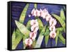 Sacred Orchids-Mary Russel-Framed Stretched Canvas