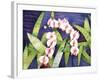 Sacred Orchids-Mary Russel-Framed Giclee Print