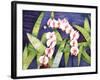 Sacred Orchids-Mary Russel-Framed Giclee Print