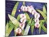 Sacred Orchids-Mary Russel-Mounted Giclee Print