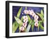 Sacred Orchids-Mary Russel-Framed Giclee Print