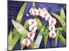 Sacred Orchids-Mary Russel-Mounted Giclee Print