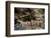 Sacred site of Sefa Utaki, UNESCO World Heritage Site, Okinawa, Japan, Asia-Michael Runkel-Framed Photographic Print