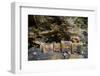 Sacred site of Sefa Utaki, UNESCO World Heritage Site, Okinawa, Japan, Asia-Michael Runkel-Framed Photographic Print