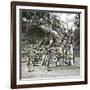 Sacred Stairway, Tokyo (Japan), 1900-1905-Leon, Levy et Fils-Framed Photographic Print