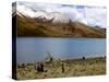 Sacred Tibetan Yamdrok Tso Lake (Yamzho Yumco)-Simon Montgomery-Stretched Canvas