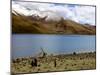 Sacred Tibetan Yamdrok Tso Lake (Yamzho Yumco)-Simon Montgomery-Mounted Photographic Print
