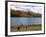 Sacred Tibetan Yamdrok Tso Lake (Yamzho Yumco)-Simon Montgomery-Framed Photographic Print