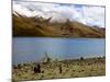 Sacred Tibetan Yamdrok Tso Lake (Yamzho Yumco)-Simon Montgomery-Mounted Photographic Print