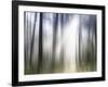 Sacred-Viviane Fedieu Daniel-Framed Photographic Print